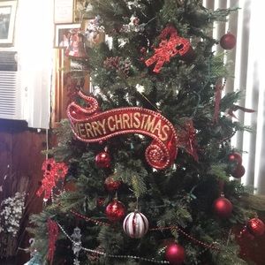 Meet your Posher, Tony